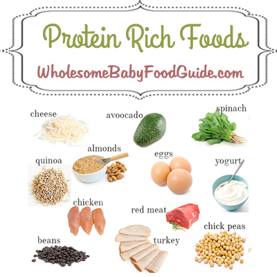 Protein Needs And Requirements For Babies Wholesome Baby Food Guide